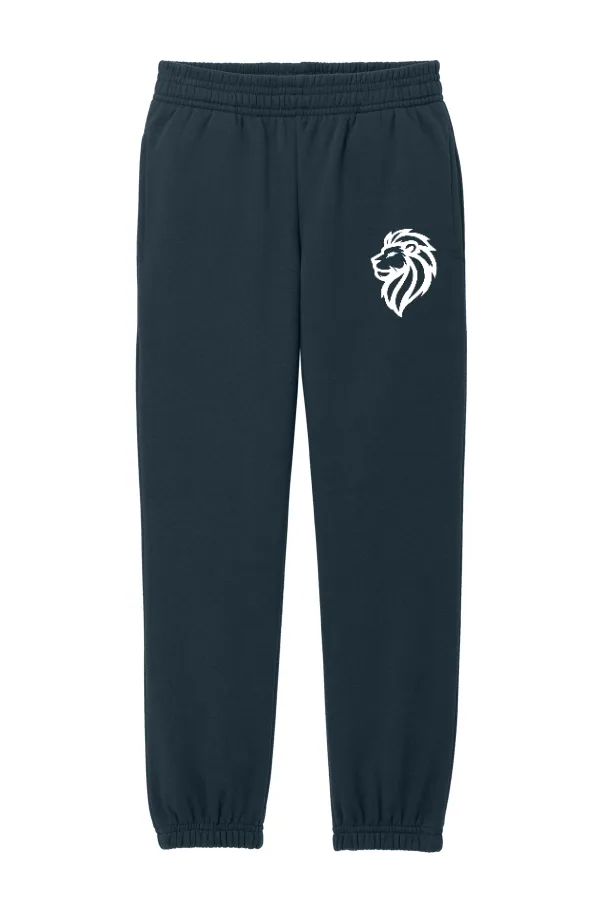 District Youth V.I.T- Lion Logo in As Shown — DT6112Y
